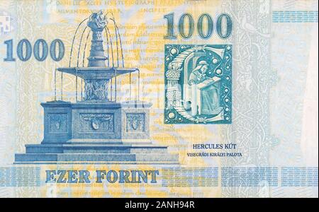 Fontaine royale de Visegrad sur la Hongrie Forint 1000 Billets 2006 fragment close up Banque D'Images