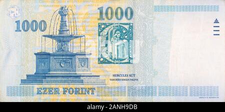 Fontaine royale de Visegrad sur la Hongrie Forint 1000 Billets 2006 fragment close up Banque D'Images