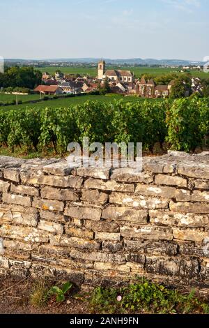 Vignes sur les pentes de la Bourgogne en France. Banque D'Images