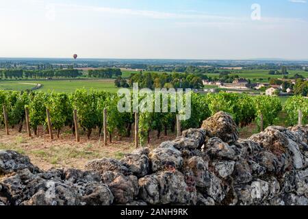 Vignes sur les pentes de la Bourgogne en France. Banque D'Images