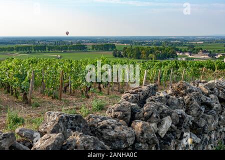 Vignes sur les pentes de la Bourgogne en France. Banque D'Images