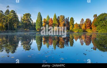 Réflexions d'automne à Bedgebury Pinetum National et de la forêt, dans le Kent. Banque D'Images