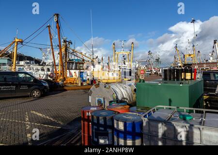 Brixham est un petit village de pêcheurs et une paroisse civile dans le quartier de Torquay dans le comté de Devon, dans le sud-ouest de l'Angleterre. La flotte de pêche, Banque D'Images