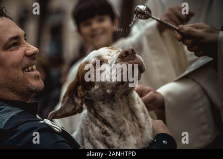 Mahon, Espagne. 17 janvier, 2020 : un chien est bénie par un prêtre à Mahon à Saint Antoine le saint patron des animaux, et la journée nationale du crédit de Minorque : Matthias Rickenbach/Alamy Live News Banque D'Images