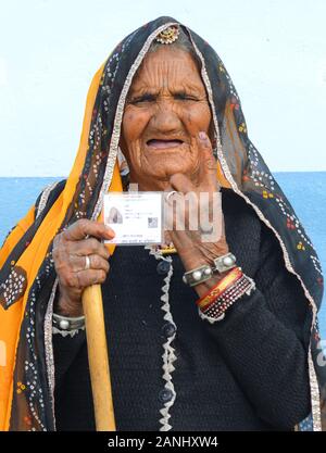 Le Rajasthan, Inde. 17 Jan, 2020. Une femme âgée voter montre son doigt encré avec sa carte d'identité après avoir voté dans la première phase du Panchayat (conseil du village) élections à Delwara village près de Beawar. (Photo by Sumit Mamadou Diop/Pacific Press) Credit : Pacific Press Agency/Alamy Live News Banque D'Images