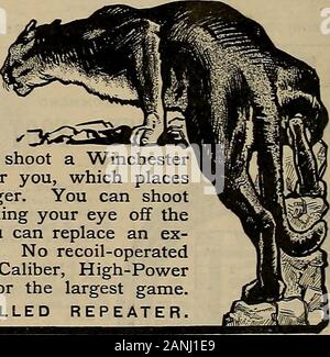 Source et sportif . Handicaps tir du ruban bleu de 1909. U. M. C. et Remington-la parfaite combinaison de prise de vue. La propriété même même même de gestion STANDARD DE QUALITÉ La Remington Arms Co. Ilion.X. Y.313 Broadway, New York. L'Union Co. Cartouche Métallique Bridgeport. Agence : WMCHtSTER Conn., calibre .351 Fusil Self-Loading haute puissance n'est rien d'ici à prendre votre esprit de la partie si vous tirez uneSelf-Loading Winchester Rifle. Le ressort de la recharger pour vous, ce qui n'placesthe le contrôle complet de l'arme sous le trigger finger. Vous pouvez shootsix coups aussi vite que vous pouvez pu Banque D'Images