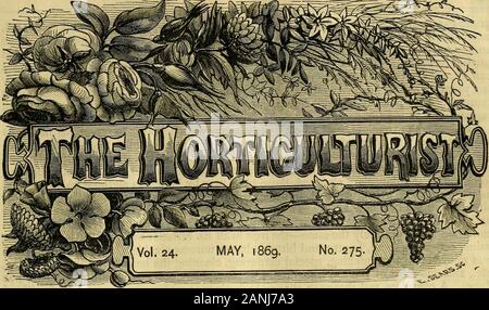 L'horticulteur et journal of rural Art et goût rural . Charles Arnold. Les crèches de Paris.âParis, Ontario, canada.Circulaire du prix de gros.âWilliam,S. Little Rochester, N. Y. Ellwanger et Barry, Rochester,N. Y. Â" Hoopes Fr. et Thomas, West Chester, Pa-Vicks catalogue illustré d'Ampoules.âRo-Chester, N. Y. Ancienne colonie forestières Catalogue^.âB. M.Watson, Plymouth, Massachusetts et calendrier annuel des semences.âMaupay, Hack-er & Co., Philadelphie, Pennsylvanie catalogue de graines de fleurs et de légumes.âJames Sheppard, New-York. JVisconsin Rapport de l'horticulture de l'État soi-société, 1868.âMadison les transactions, au Wisconsin Banque D'Images