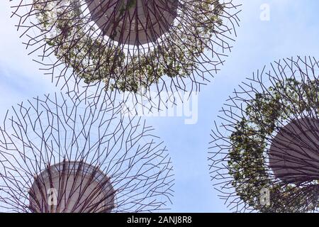 Jardins près de la baie, Singapour Banque D'Images