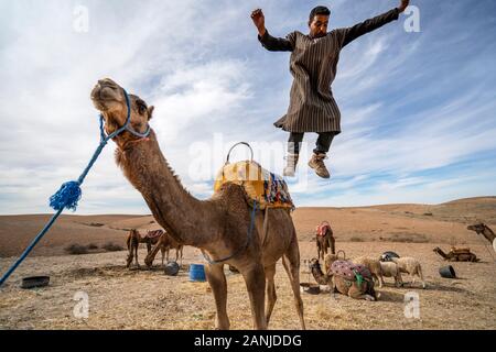 Marrakech, Maroc - le 14 janvier 2010 : Un homme sauter de son dromadaire de montrer le désert Agafay , Marrakech, Maroc Banque D'Images