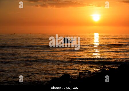 Un grand héron en photo contre le coucher du soleil à Pass-a-Grille Beach, en Floride. Températures élevées est levée dans le 80 à proximité de high records pour cette période de l'année en Floride. Banque D'Images