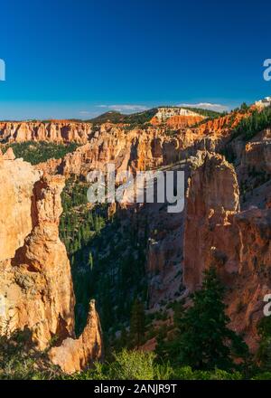 Bouleau noir Canyon à Bryce Canyon National Park, Utah Banque D'Images