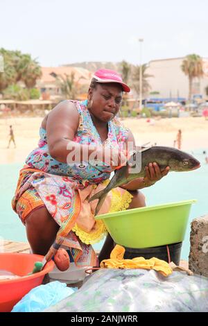 Une femme locale s'éguettant et préparant des poissons de la manière traditionnelle dans le marché aux poissons sur la jetée de Santa Maria, Sal, Cap-Vert Banque D'Images