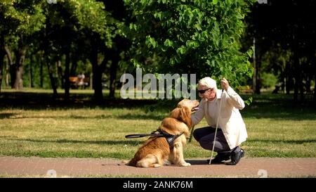 Homme aveugle caressant chien-guide dans Park, le meilleur ami de personnes, de l'orientation concept Banque D'Images