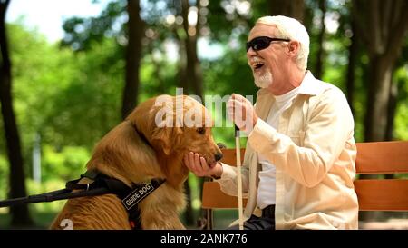 L'alimentation positive aveugle chien-guide, assis dans un parc, de l'alimentation canine nutritifs Banque D'Images
