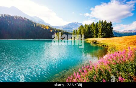 Étang Champfer Azure est un endroit unique sur la terre. Jour pittoresque et magnifique scène. Silvaplana emplacement village, Alpes Suisses, Maloja, en Europe. Merveilleux Banque D'Images