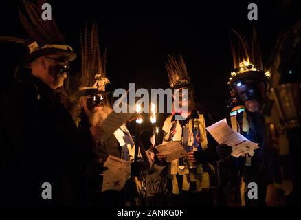 Les membres de l'hameçon Eagle Morris Dancers à la Vaughan Millénaire Verger lors d'une 'Hartley Wintney Wassail' dans, Hampshire. Banque D'Images