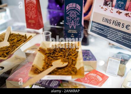 Berlin, Allemagne. 17 Jan, 2020. Des collations faites d'insectes à partir de la partie Bugs sont affichés sur le stand de la Finlande au cours de la Semaine verte internationale (IGW) Berlin à Berlin, capitale de l'Allemagne, le 17 janvier 2020. L'IGW Berlin, une exposition internationale de l'alimentation, de l'agriculture et le jardinage industries, s'est ouverte vendredi et durera jusqu'au 26 janvier, ont attiré plus de 1 800 exposants du monde entier. Credit : Binh Truong/Xinhua/Alamy Live News Banque D'Images