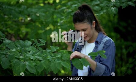 Femme photographe taking photo de vert de feuilles d'arbres dans le parc, passe-temps naturaliste Banque D'Images