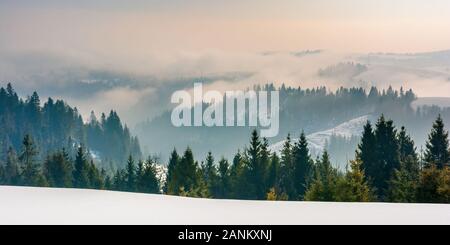 Campagne majestueuse au lever du soleil en hiver. sapins couverts de neige sur les pistes. Les nuages et le brouillard s'élever au-dessus des collines éloignées l rural magnifique. Banque D'Images