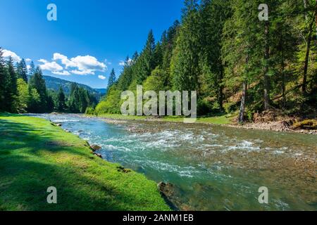 Scène de la nature avec vue rivière. Vacances de printemps dans la vallée ensoleillée de synevyr parc national, l'Ukraine. pré herbeux sur la rive, une crête dans la distance Banque D'Images