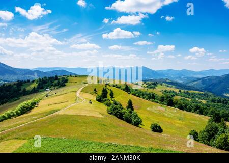 Paysage rural de la montagne en été. Chemin de pays en liquidation à la crête de lointain. collines avec l'herbe des champs et des prés. calme blé ensoleillé Banque D'Images