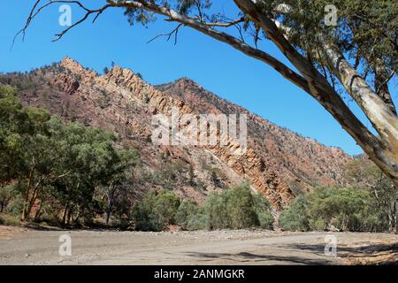 Trouver Rock Formations in Brachina Gorge, Ikara-Flinders, Parc National de l'Australie du Sud, Australie Banque D'Images