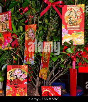 Décorations du Nouvel An chinois dans un hôtel à Patong Beach, Phuket, Thaïlande, Asie. La nouvelle année, ou Fête du Printemps, commence le 25 janvier et se termine le 4 février. 2020 est l'année du rat. Banque D'Images