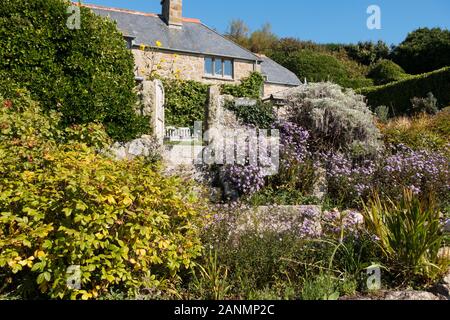 Jolie Cornish cottage garden sur une journée ensoleillée de septembre avec ciel bleu clair, Polventon, Porthgwarra, Cornwall, UK Banque D'Images