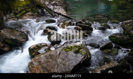 Rapids de Mackay falls, joignable sur le 4e jour de Milford Track trek Banque D'Images