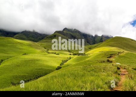 Petit chemin menant à Blindman's Corner, de vertes prairies et des montagnes vertes, Monk's Cowl, Champagne et Château Cathkin Peak enveloppée de nuages, Dr Banque D'Images