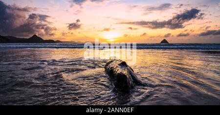 (Selective focus) magnifique coucher de soleil sur une mer avec des vagues se brisant sur une belle plage avec un tronc d'arbre au premier plan. Banque D'Images