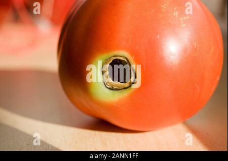 Faule Tomate - tomate pourrie Banque D'Images