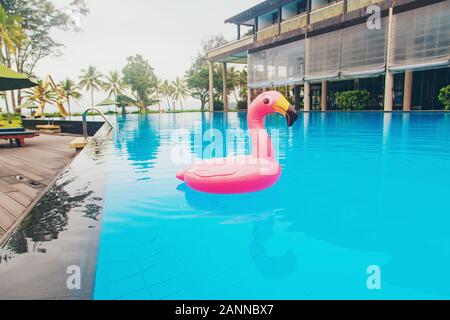 Cercle dans une piscine du Flamingo. Focus sélectif. nature. Banque D'Images