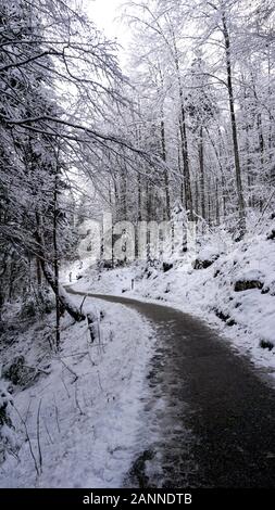 Randonnée promenade à l'ancienne mine de sel de Hallstatt note de la forêt de pins et de neige de l'hiver paysage de montagne, l'aventure de plein air en Autriche Banque D'Images