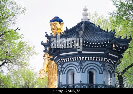 Or une statue de bouddha debout sur un jour de printemps ensoleillé à Jile Temple, Temple de la félicité, de Harbin en Chine. Banque D'Images