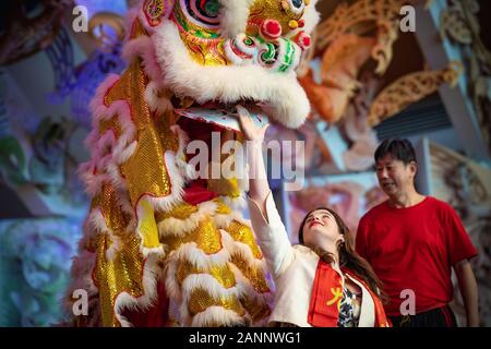 Wellington, Nouvelle-Zélande. 18 janvier 2020. (200118) -- WELLINGTON, le 18 janvier 2020 (Xinhua) -- une femme interagit avec un interprète au cours de la danse du lion Festival multiculturel en célébration du Nouvel An chinois de gala au Musée National de Nouvelle-Zélande à Wellington, capitale de la Nouvelle-Zélande, le 18 janvier 2020. Cet événement multiculturel, co-organisé par le Conseil multiculturel de Wellington et le Centre culturel de la Chine à Wellington, soutenu par le musée national Te Papa et le Pan Pacific Culture et Arts Development Centre, dispose d'un mélange de chant et de danse de nombreux actes nationali Banque D'Images