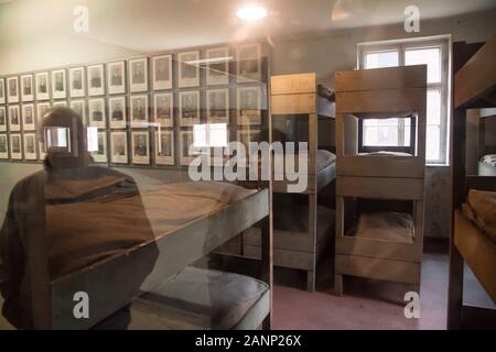 Des lits à trois niveaux sur l'exposition sur le bloc 7 (7) dans la caserne allemande nazie Konzentrationslager Auschwitz I Stammlager (camp de concentration Auschwitz I L Banque D'Images