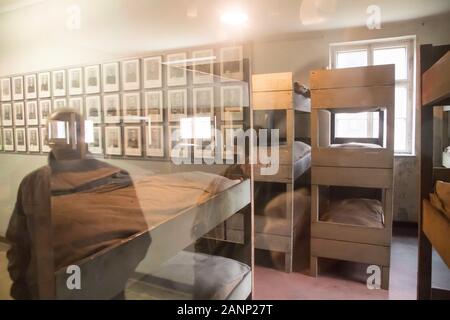 Des lits à trois niveaux sur l'exposition sur le bloc 7 (7) dans la caserne allemande nazie Konzentrationslager Auschwitz I Stammlager (camp de concentration Auschwitz I L Banque D'Images