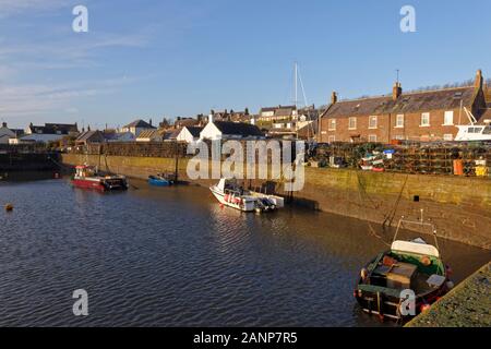 À la recherche sur le port intérieur de la pêche côtière Village de Johnshaven avec plusieurs navires de pêche côtière amarré dans les eaux abritées. Banque D'Images