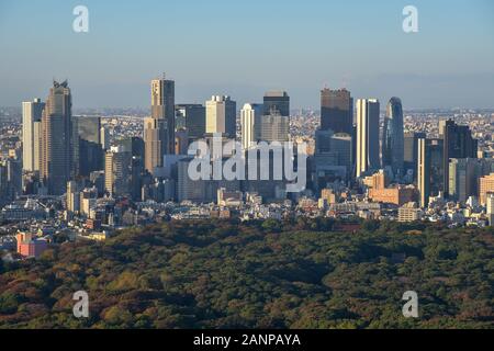 Paysage de Tokyo au Japon Banque D'Images