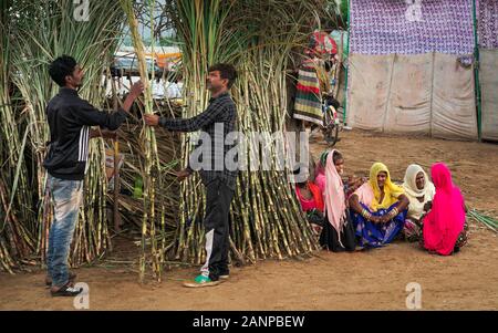 Les hommes de négocier plus de couper la canne à sucre brute, le long des routes et des épouses et des enfants assis en conversation sur à la juste à Pushkar, Rajasthan, Inde. Banque D'Images