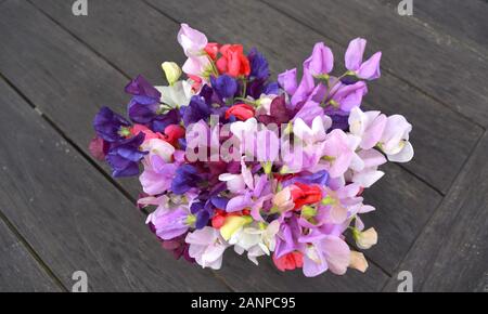 Pois de fleurs bouquet aux couleurs éclatantes. Banque D'Images