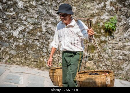 Pingan, Chine - Août 2019 : vieux Chinois transportant une charge lourde de fruits en vente jusqu'aux pentes escarpées en chemin, Pingan Longji terrasses de riz, l'Hepi Banque D'Images