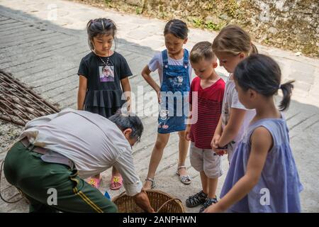 Pingan, Chine - Août 2019 : Curieux village enfants à l'intérieur du panier avec des raisins à vendre portées par un vieil homme d'origine chinoise, Pingan Longji, R Banque D'Images