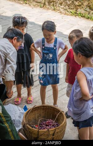 Pingan, Chine - Août 2019 : Curieux village enfants à l'intérieur du panier avec des raisins à vendre portées par un vieil homme d'origine chinoise, Pingan Longji, R Banque D'Images