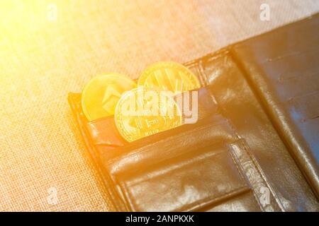 Pièce de monnaie crypto dans Etui en cuir sur fond gris ethereum bitcoin litecoin. bien-être financier. tonique. Banque D'Images