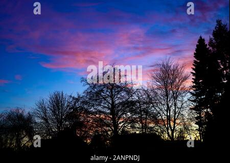 Maisons et arbres en face d'un impressionnant ciel du soir avec les nuages qui sont illuminés en rose par le soleil couchant. La photo ressemble à une silhouette, Banque D'Images