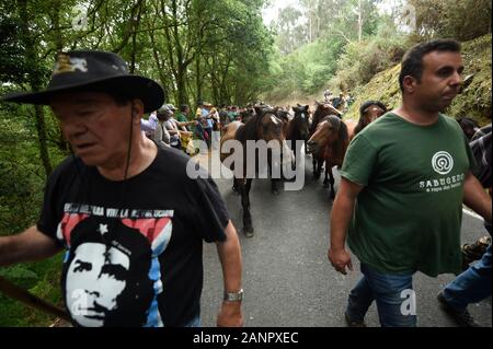 SABUCEDO, ESPAGNE - 6-7 juillet 2019 - La RAPA DAS BESTAS (Cisaillement des bêtes) 2019 tenue à Sabucedo Galice Espagne Banque D'Images