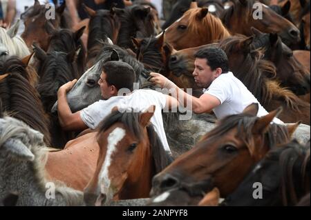 SABUCEDO, ESPAGNE - 6-7 juillet 2019 - La RAPA DAS BESTAS (Cisaillement des bêtes) 2019 tenue à Sabucedo Galice Espagne Banque D'Images