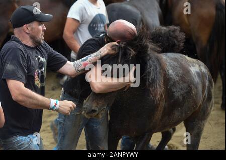 SABUCEDO, ESPAGNE - 6-7 juillet 2019 - La RAPA DAS BESTAS (Cisaillement des bêtes) 2019 tenue à Sabucedo Galice Espagne Banque D'Images